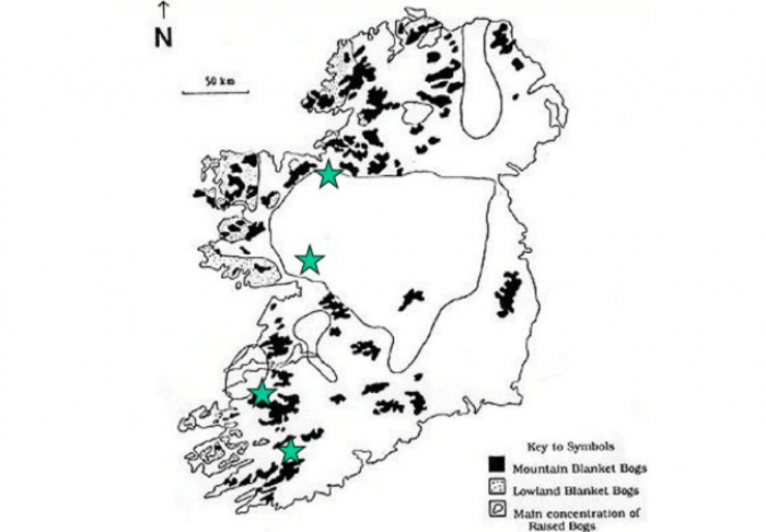 Irish Peat Land